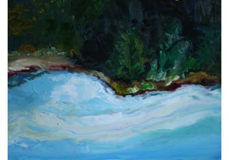 Peter-Wilde-survivor